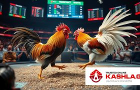 Taruhan judi sabung ayam online